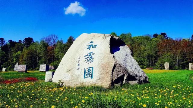 空气炸锅怎么热生煎包？游戏画面