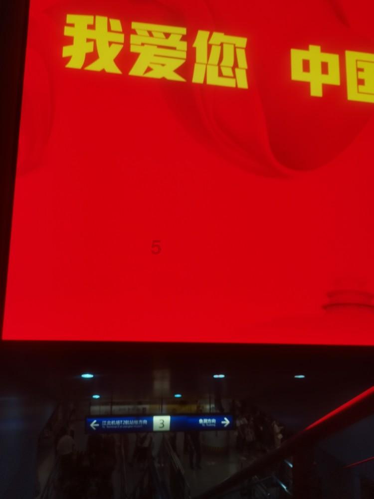 逃离诡异的森林