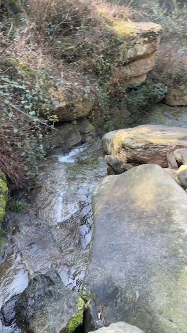 逃离冰淇淋岛屿