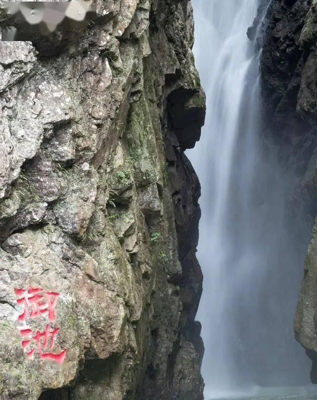 逃离神秘树屋
